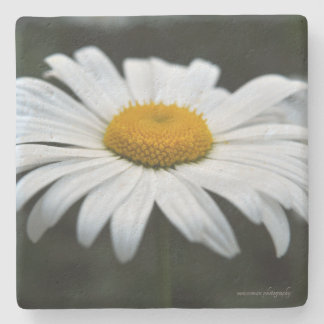 Daisy - Opschieten Stenen Onderzetter