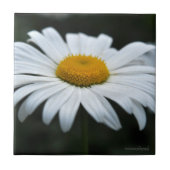 Daisy - Opschieten Tegeltje (Voorkant)