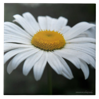 Daisy - Opschieten Tegeltje