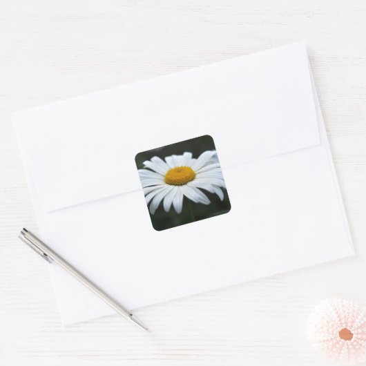 Daisy - Opschieten Vierkante Sticker (Envelop)