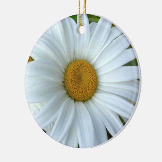 Daisy Ornament Flower Kerstdecoration (Links)