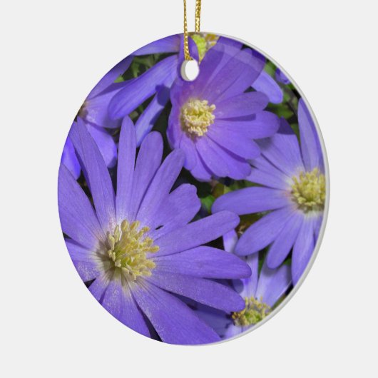 Daisy Ornament Flower Kerstdecoration (Links)