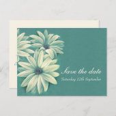 Daisy osteospermum bruiloft, behalve de datumkaart aankondigingskaart (Voorkant / Achterkant)