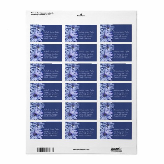 Daisy osteospermum bruiloft label (Full Sheet)