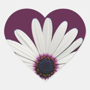 Daisy Paarse hart Stickers