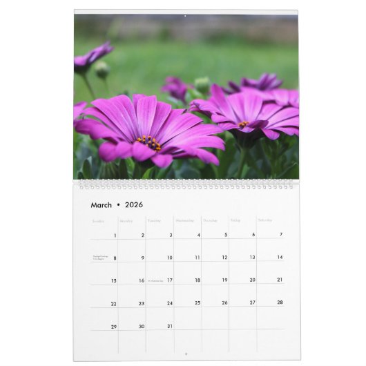 Daisy paarse magenta foto grootouders Kalender (Mar 2026)