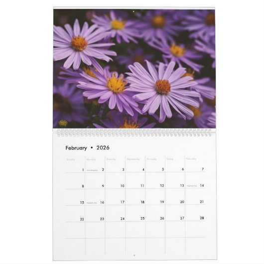 Daisy paarse magenta foto grootouders Kalender (Feb 2026)