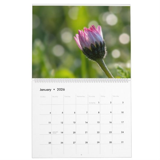 Daisy paarse magenta foto grootouders Kalender (Jan 2026)