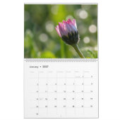 Daisy paarse magenta foto grootouders Kalender (Jan 2027)