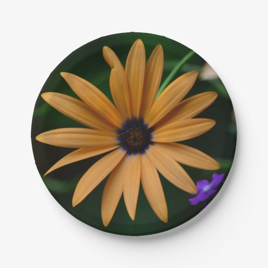 Daisy Paper-Bord Papieren Bordje (Voorkant)