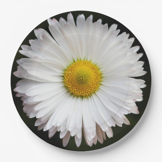 Daisy Papieren Bordje (Voorkant)