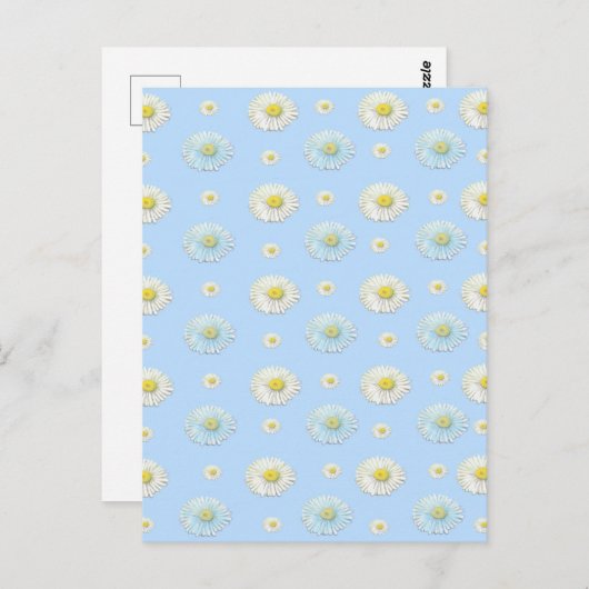 Daisy Pattern op lichtblauwe achtergrond Briefkaart (Voorkant / Achterkant)