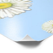 Daisy Pattern op lichtblauwe achtergrond Foto Afdruk (Hoek)