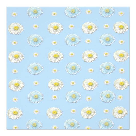 Daisy Pattern op lichtblauwe achtergrond Foto Afdruk (Voorkant)