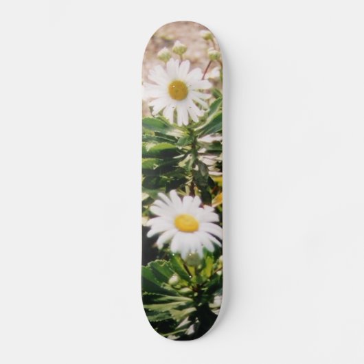 DAISY PERSOONLIJK SKATEBOARD (Voorkant)