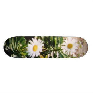 DAISY PERSOONLIJK SKATEBOARD
