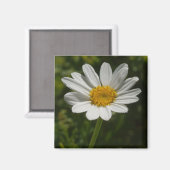 Daisy Photo Magnet (Voorkant / Achterkant)