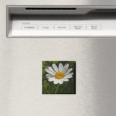 Daisy Photo Magnet (Insitu (Vaatwasser))