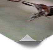 Daisy Photo Poster (Hoek)