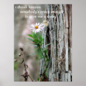 Daisy Photo Poster (Voorkant)