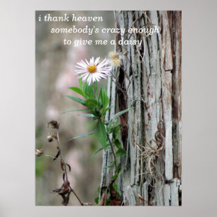 Daisy Photo Poster