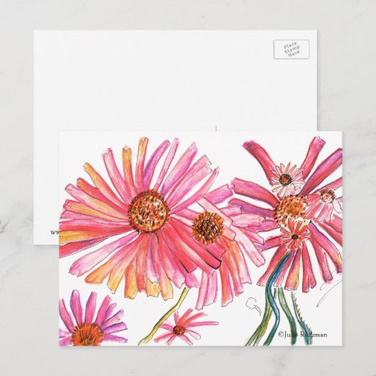 Daisy Pink Flower Briefkaart (Voorkant / Achterkant)