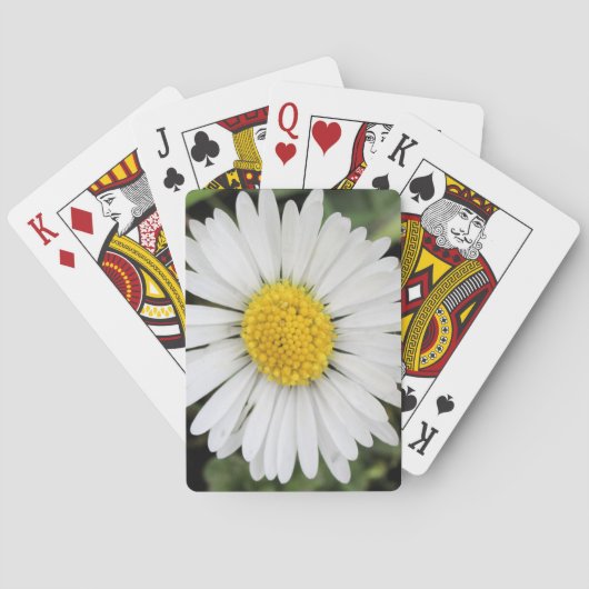 Daisy Pokerkaarten (Achterkant)