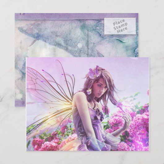 Daisy Post Card Briefkaart (Voorkant / Achterkant)