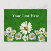 Daisy postcard template briefkaart (Voorkant)