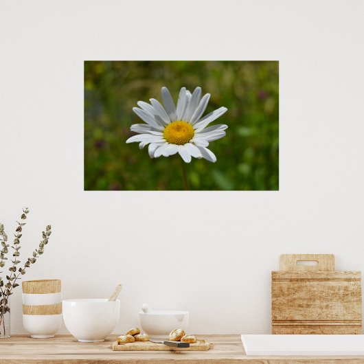 Daisy Poster (Keuken)