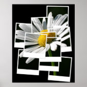 Daisy Poster (Voorkant)