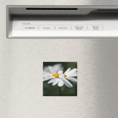 Daisy profiel magneet (Insitu (Vaatwasser))