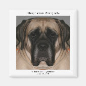 Daisy Promo Magneet (Voorkant)