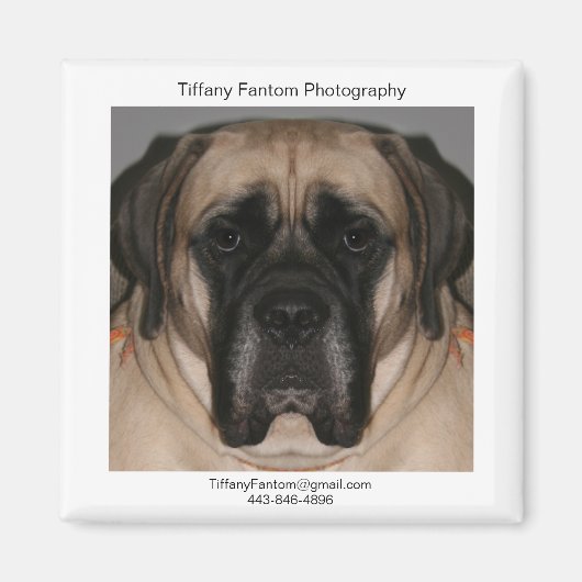 Daisy Promo Magneet (Voorkant)