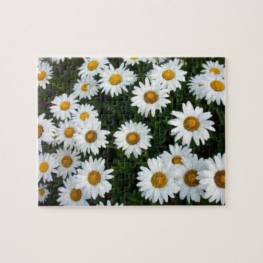 Daisy Puzzle Legpuzzel (Horizontaal)