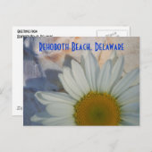 Daisy Rehoboth Beach Briefkaart (Voorkant / Achterkant)