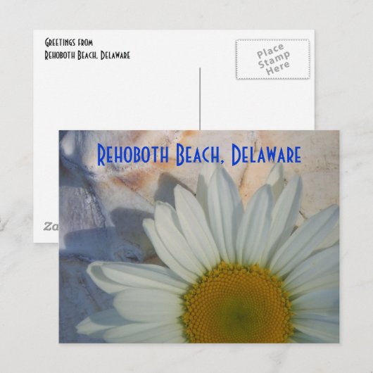 Daisy Rehoboth Beach Briefkaart (Voorkant / Achterkant)