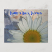Daisy Rehoboth Beach Briefkaart (Voorkant)