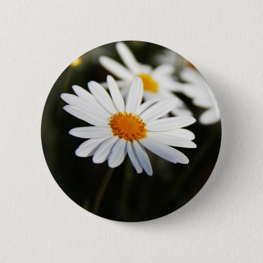 Daisy Ronde Button 5,7 Cm (Voorkant)