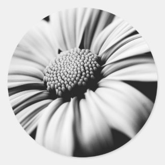 Daisy Ronde Sticker