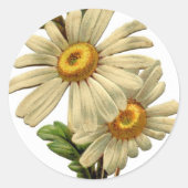 Daisy Ronde Sticker (Voorkant)