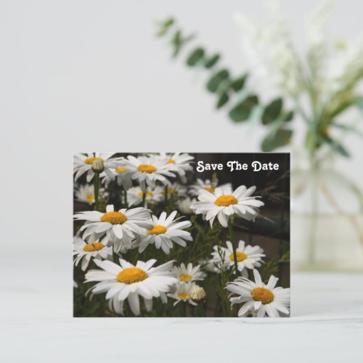 Daisy Save the Date Briefkaart (Staand voorkant)