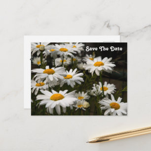 Daisy Save the Date Briefkaart