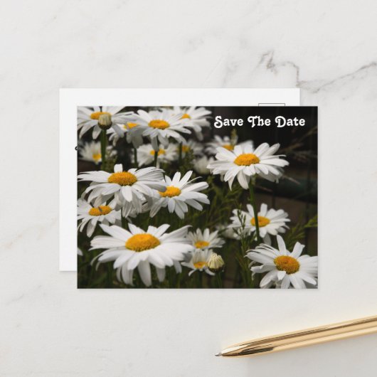Daisy Save the Date Briefkaart (Voorkant / Achterkant in situ)