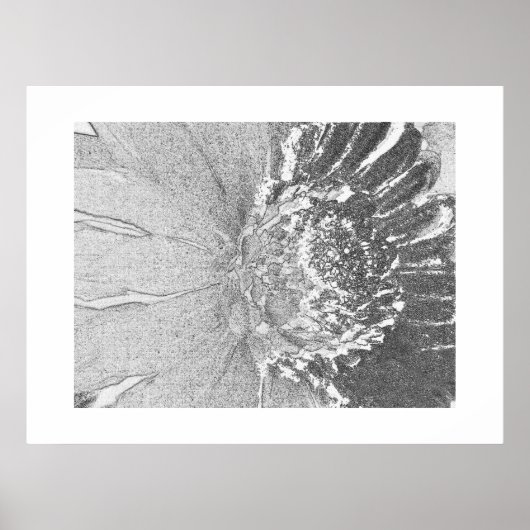 Daisy Shades of Grey Floral Poster (Voorkant)