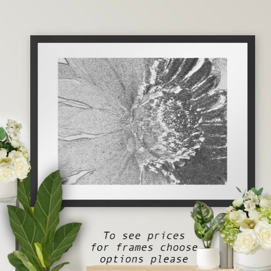 Daisy Shades of Grey Floral Poster