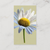 Daisy Shadow en Light Visitekaartje (Achterkant)