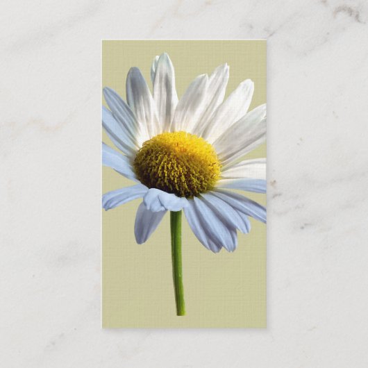 Daisy Shadow en Light Visitekaartje (Achterkant)