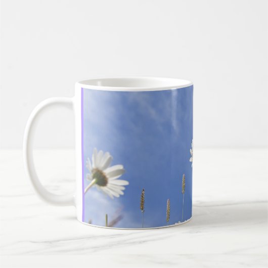 Daisy sky mok (Links)