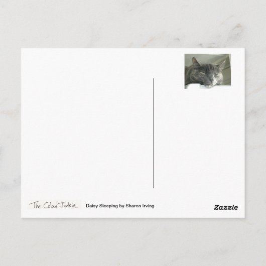 Daisy Slapeping Briefkaart (Achterkant)